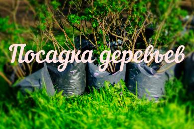 GreenDeen планирует масштабную экоакцию в Киеве